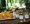 Five Varieties: Orange Blossom, Sage, Creamy Wildflower, Mango, and Wildflower - Try them all!