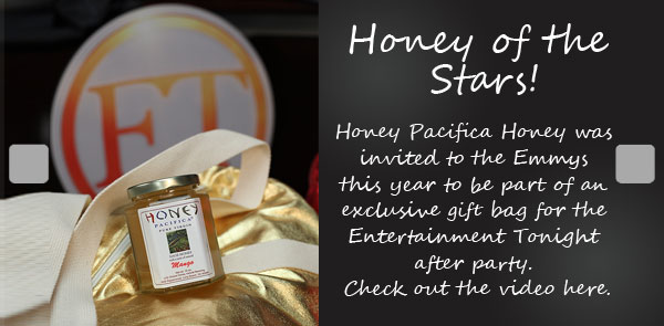 Honey Pacifica at Entertainment Tonight After Party