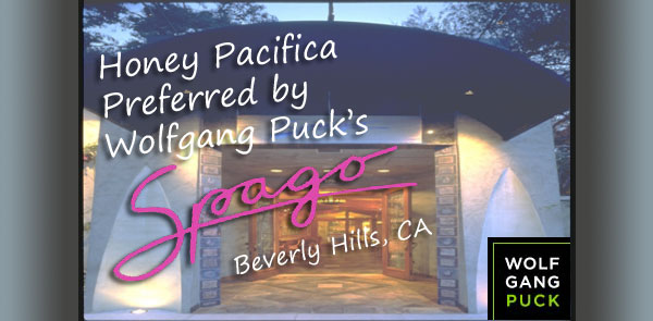 Featured at Spagos